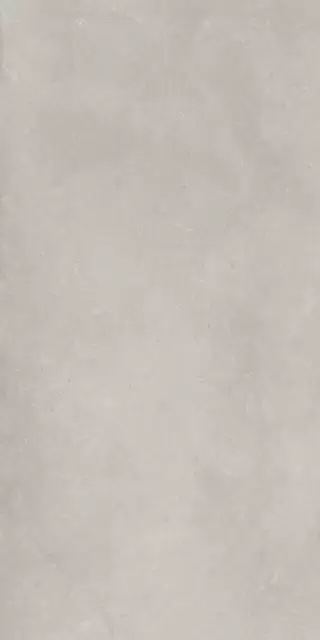 Фоссил Грэй 60X120 Рет