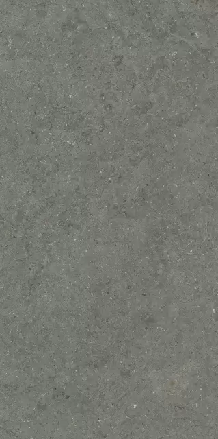 Форум Стоун Айрон 60X120