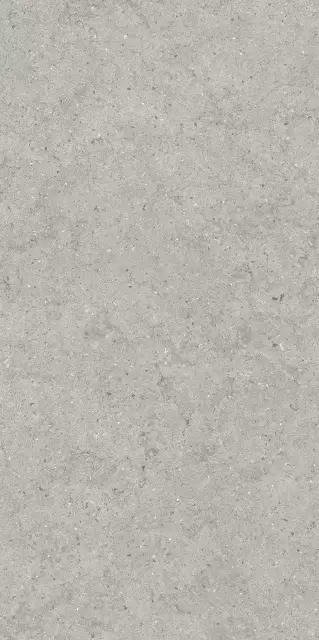 Форум Стоун Сильвер 60X120