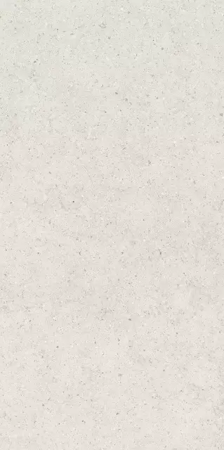 Форум Стоун Полар 60X120