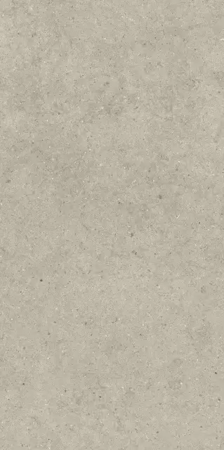 Форум Стоун Дезерт 60X120