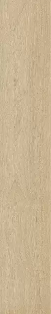 Бормио Сэнд 20X120 Рет
