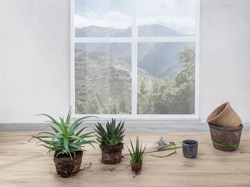 Интерьер Фабрика LEGNO VENEZIA - 1