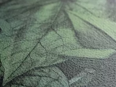 Фабрика WANDERWALL PRINTEMPS